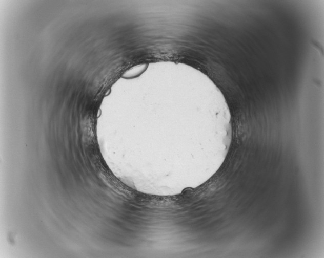 X0000103501106200810101040