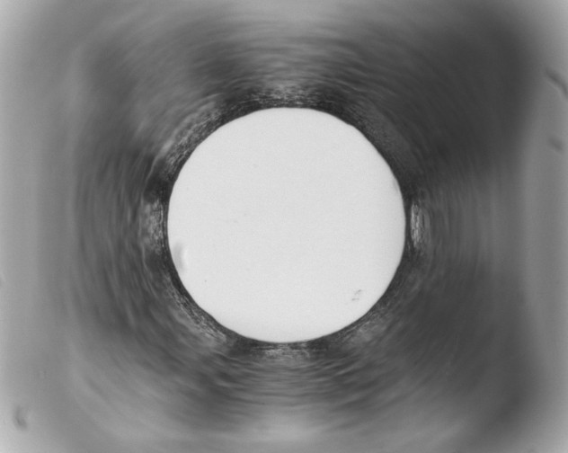 X0000103501107200810101040