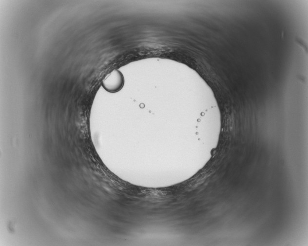 X0000103501109200810101040