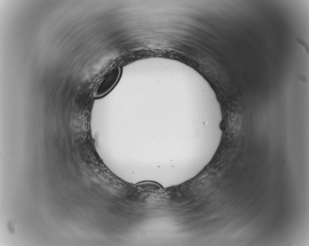 X0000103501110200810101040