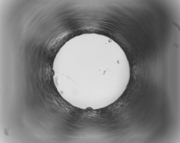 X0000103501111200810101040