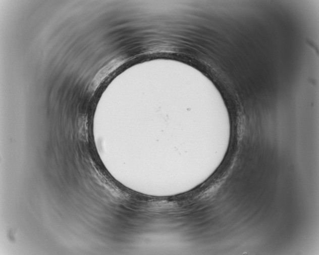 X0000103501113200810101040