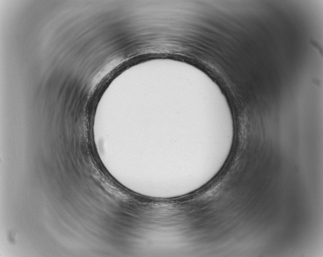 X0000103501114200810101040