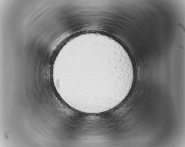 X0000103501115200810101040