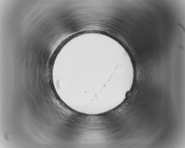 X0000103501116200810101040