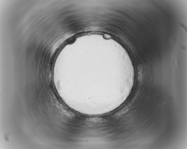 X0000103501117200810101040