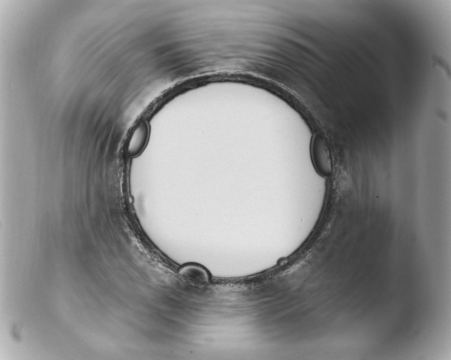 X0000103501118200810101040