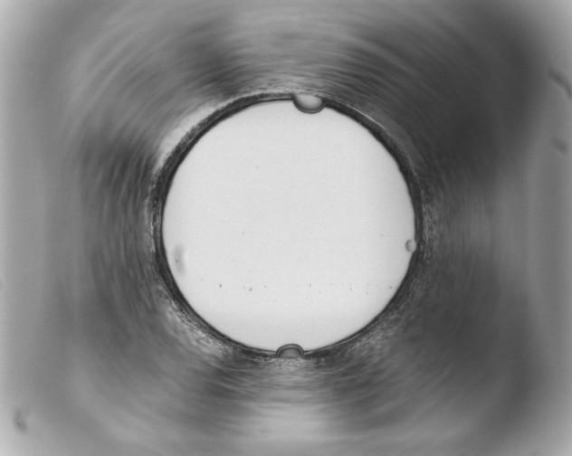 X0000103501120200810101040