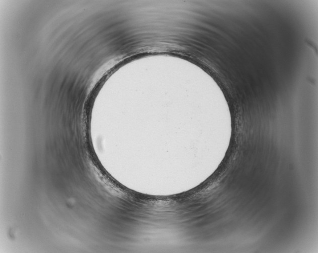 X0000103501122200810101040