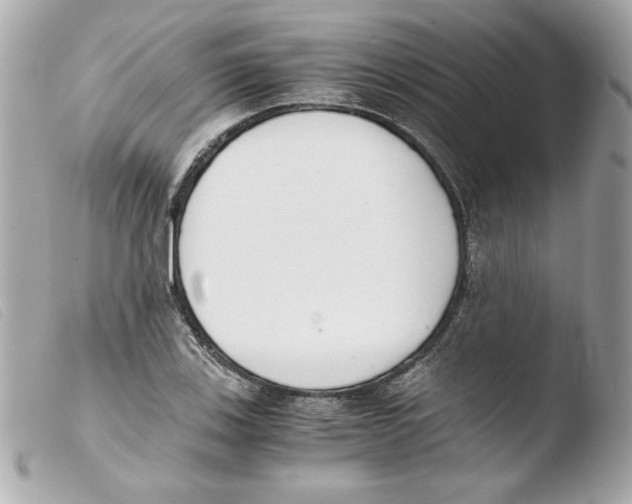 X0000103501123200810101040