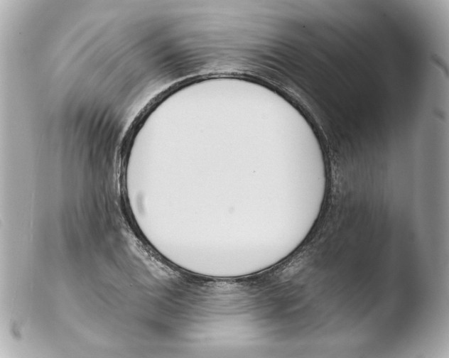 X0000103501124200810101040