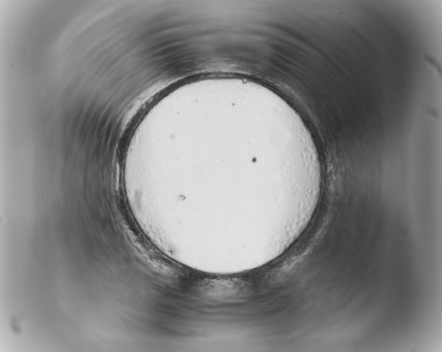 X0000103501125200810101040