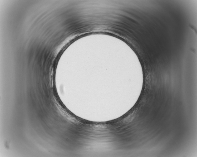 X0000103501126200810101040