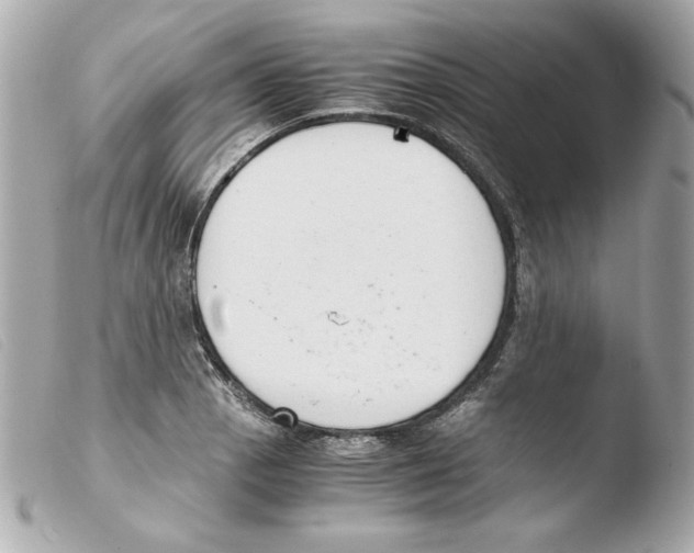 X0000103501129200810101040