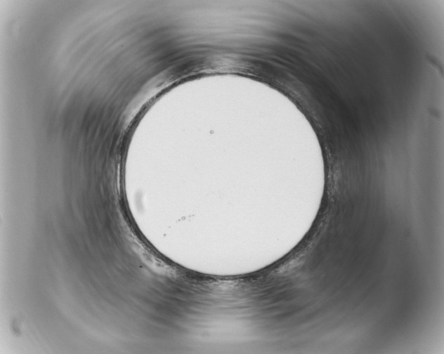 X0000103501130200810101040