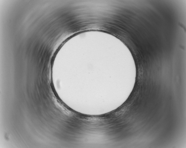 X0000103501132200810101040