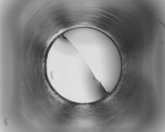 X0000103501134200810101040