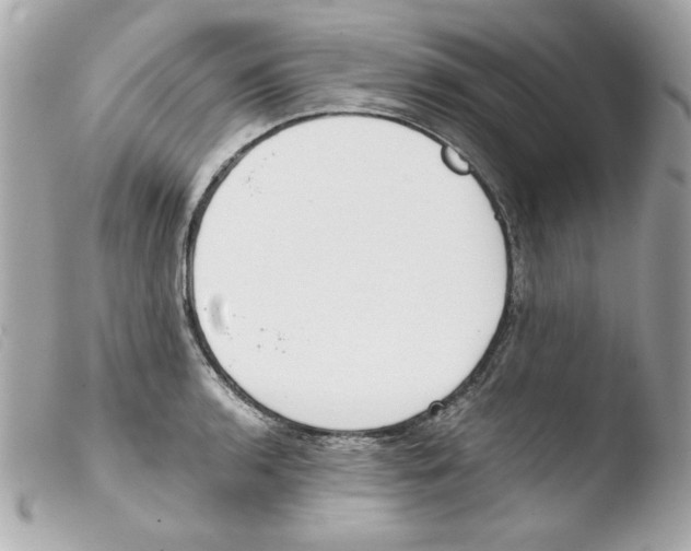 X0000103501136200810101040