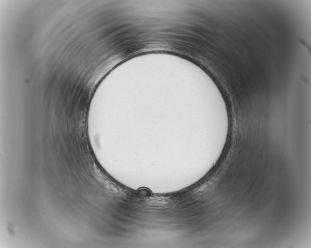 X0000103501137200810101040