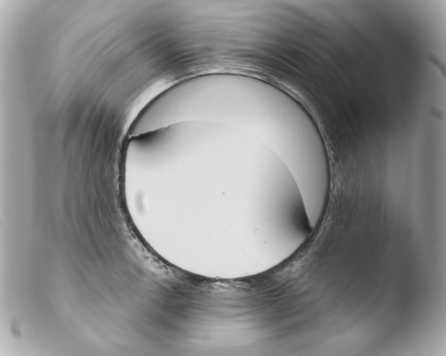 X0000103501138200810101040