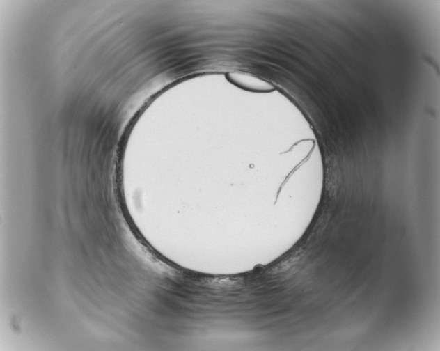 X0000103501139200810101040