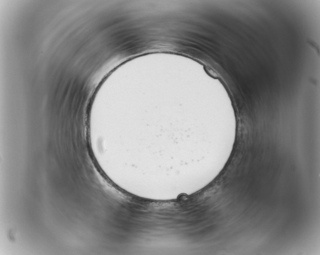 X0000103501143200810101040