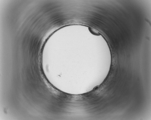 X0000103501144200810101040