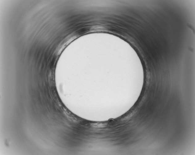 X0000103501145200810101041