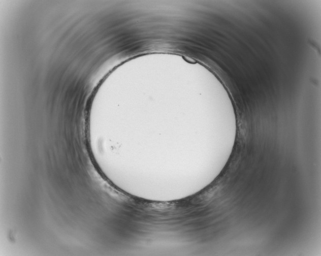 X0000103501147200810101041