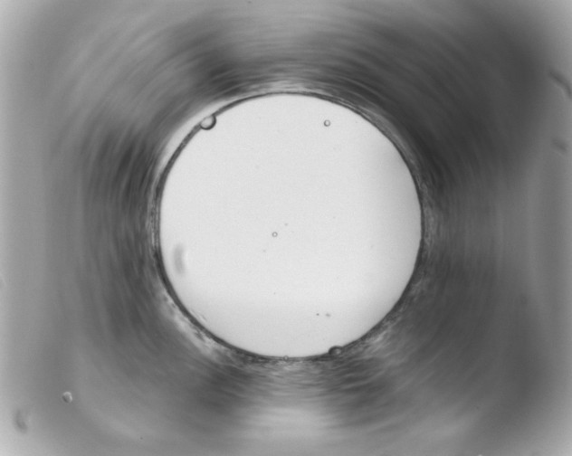 X0000103501148200810101041