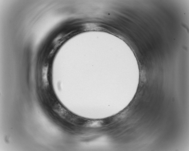 X0000103501150200810101041