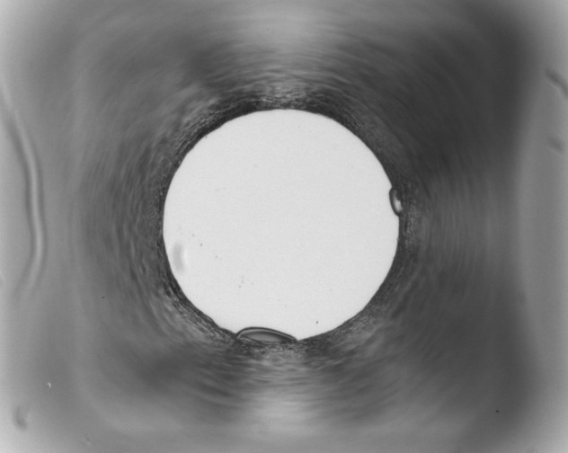 X0000103501153200810101040