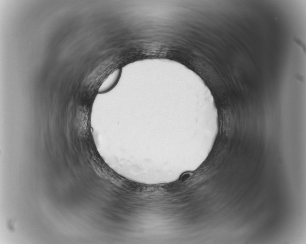 X0000103501154200810101040