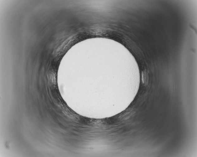 X0000103501155200810101040