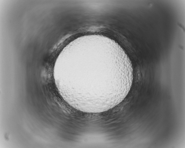 X0000103501158200810101040