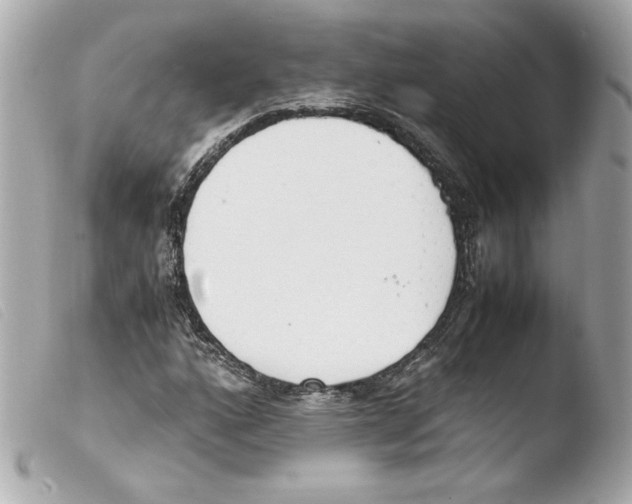 X0000103501160200810101040