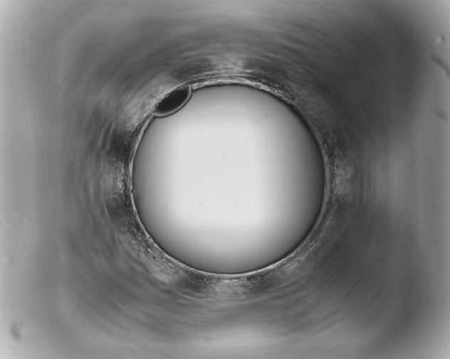 X0000103501161200810101040