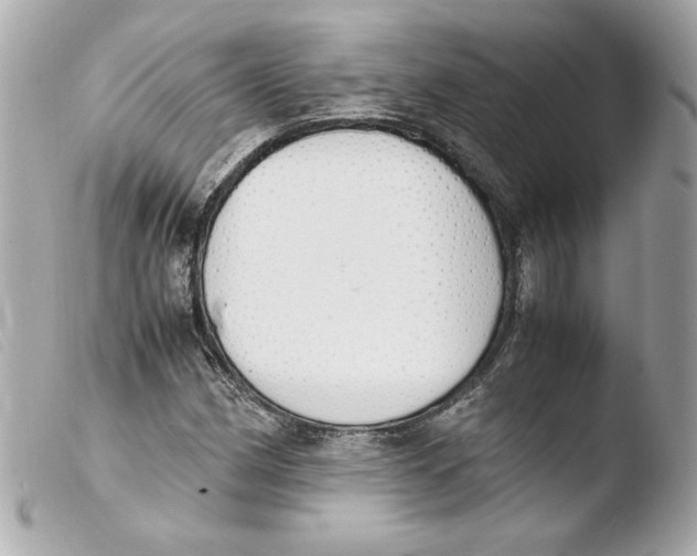 X0000103501162200810101040