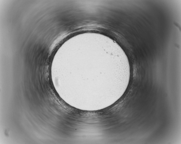 X0000103501164200810101040