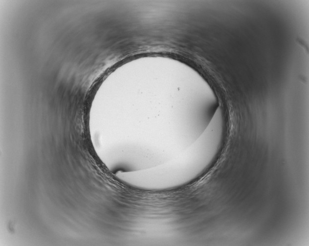 X0000103501165200810101040