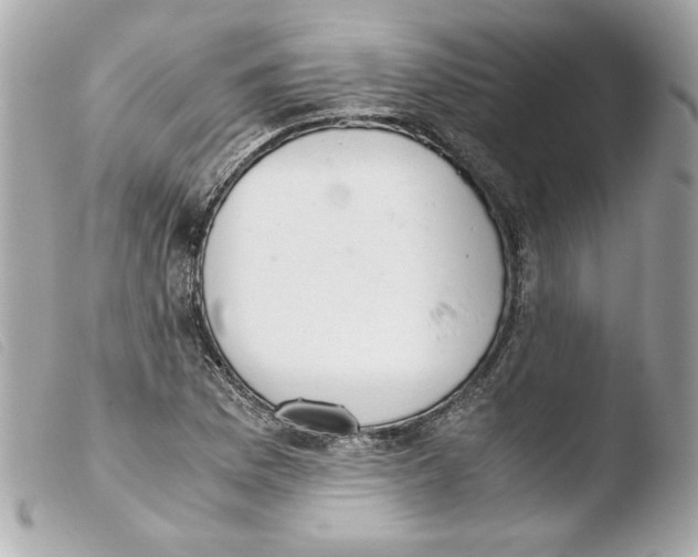 X0000103501169200810101040