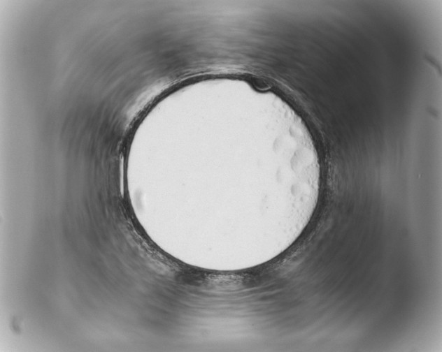 X0000103501171200810101040