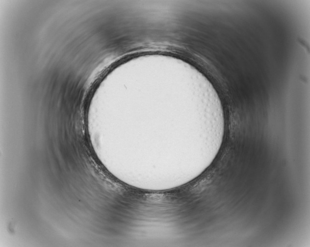 X0000103501172200810101040