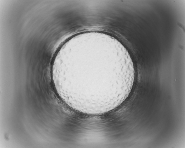 X0000103501174200810101040