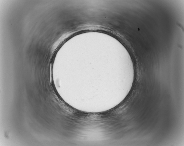 X0000103501175200810101040