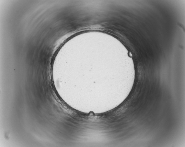 X0000103501176200810101040