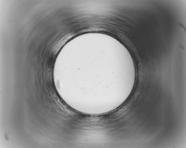 X0000103501177200810101040