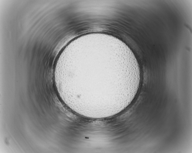 X0000103501178200810101040