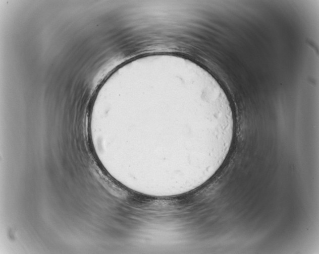 X0000103501179200810101039