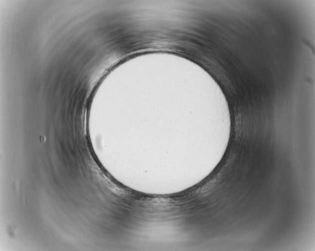 X0000103501180200810101039